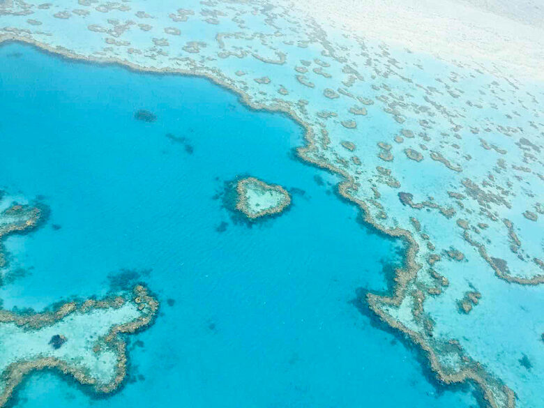 great barrier reef