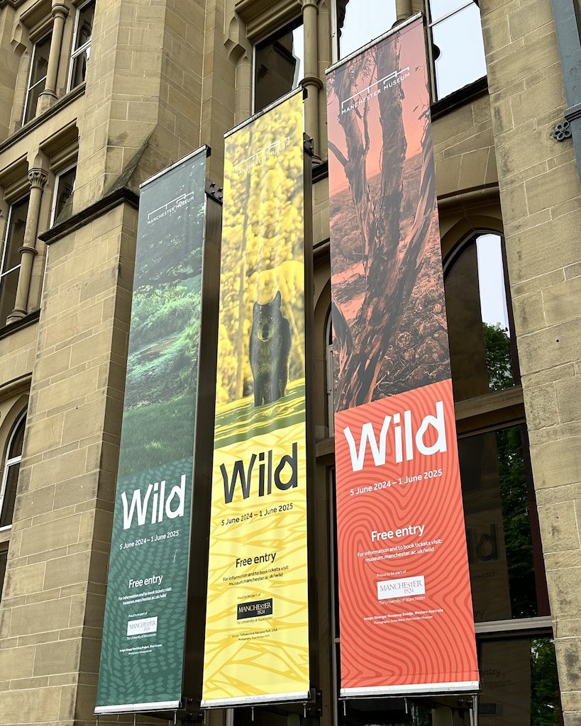 Wild Exhibition Manchester Museum