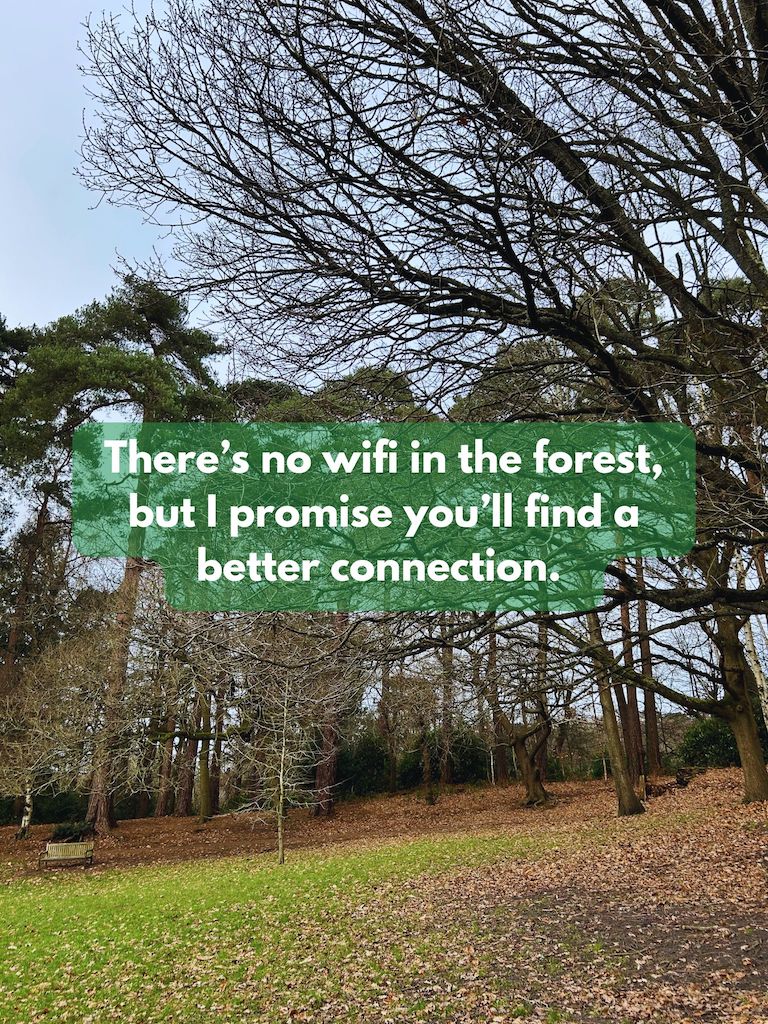 There’s no wifi in the forest, but I promise you’ll find a better connection. 
