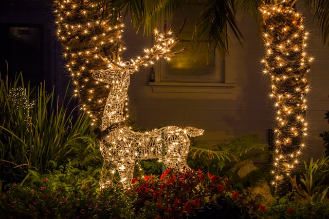 Christmas LED lights reindeer