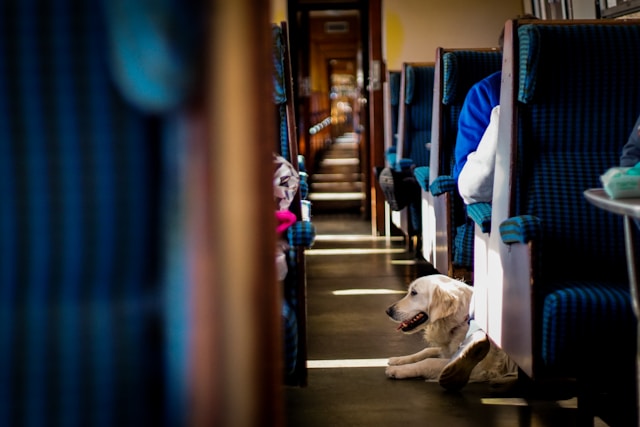 Taking the train instead of driving